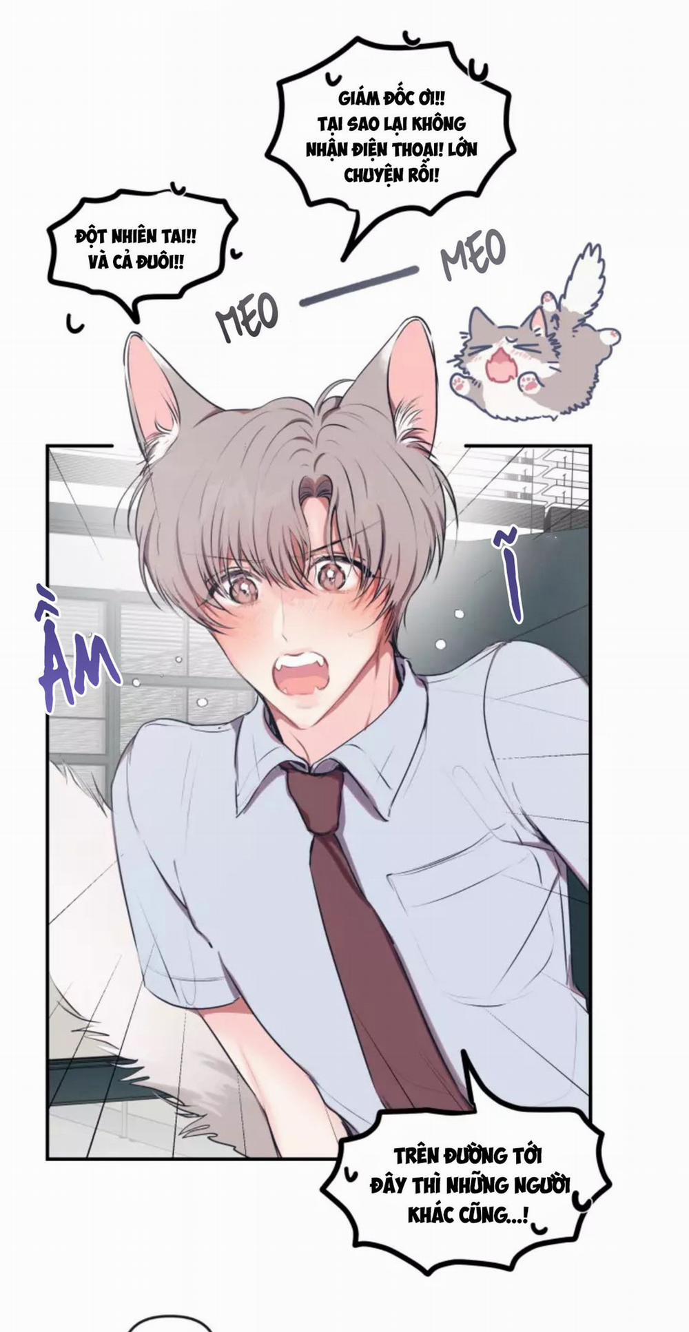 Hợp Đồng Tình Yêu 54 trang 1