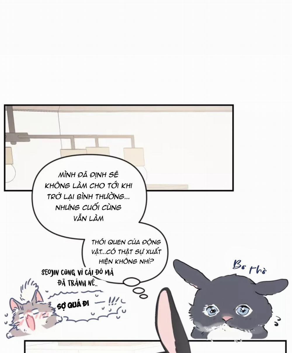 Hợp Đồng Tình Yêu 54 trang 19