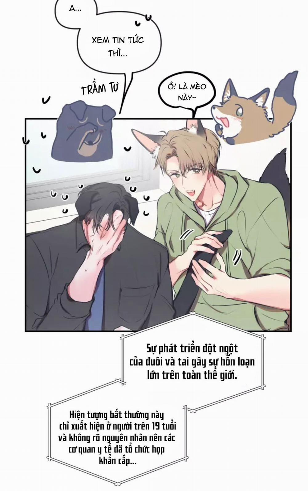 Hợp Đồng Tình Yêu 54 trang 2