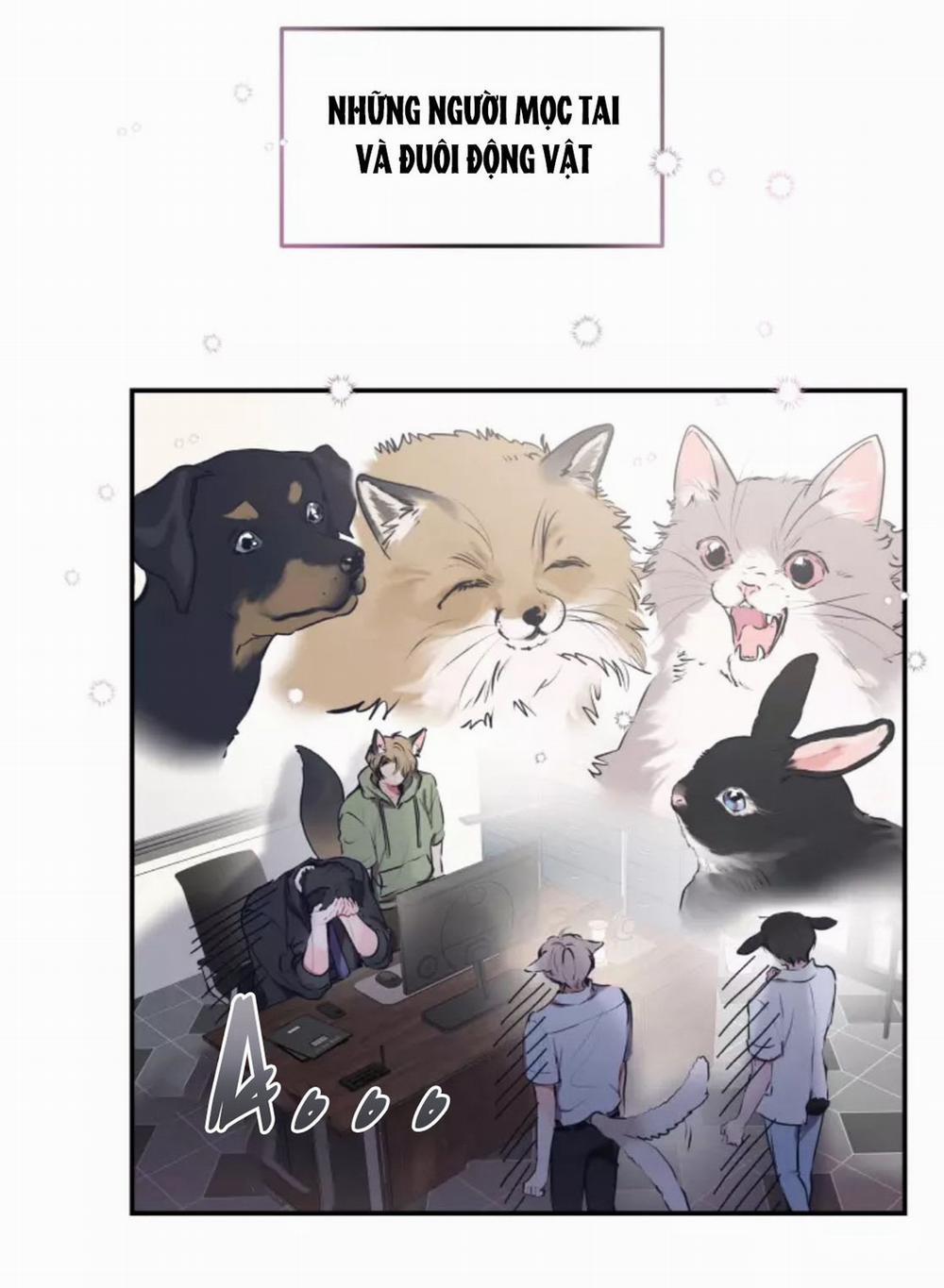 Hợp Đồng Tình Yêu 54 trang 4