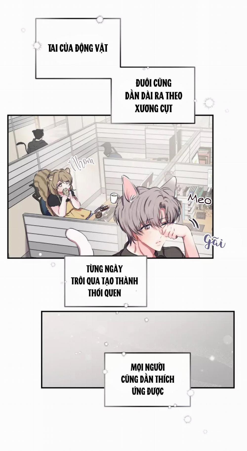 Hợp Đồng Tình Yêu 54 trang 5