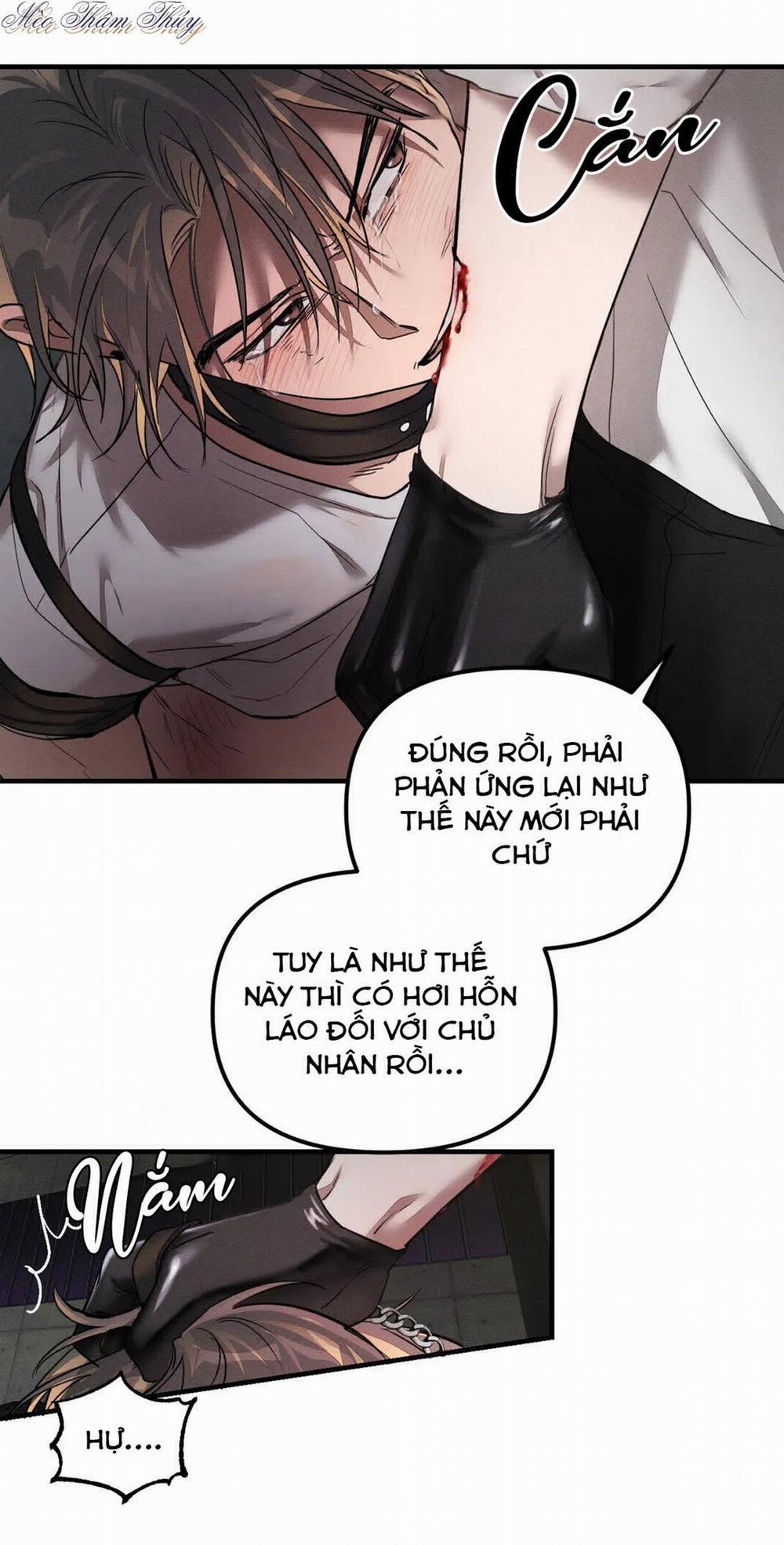 Huấn Luyện Thú Cưng 0 End trang 13