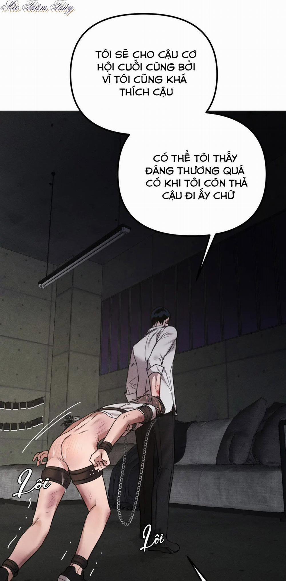 Huấn Luyện Thú Cưng 0 End trang 14