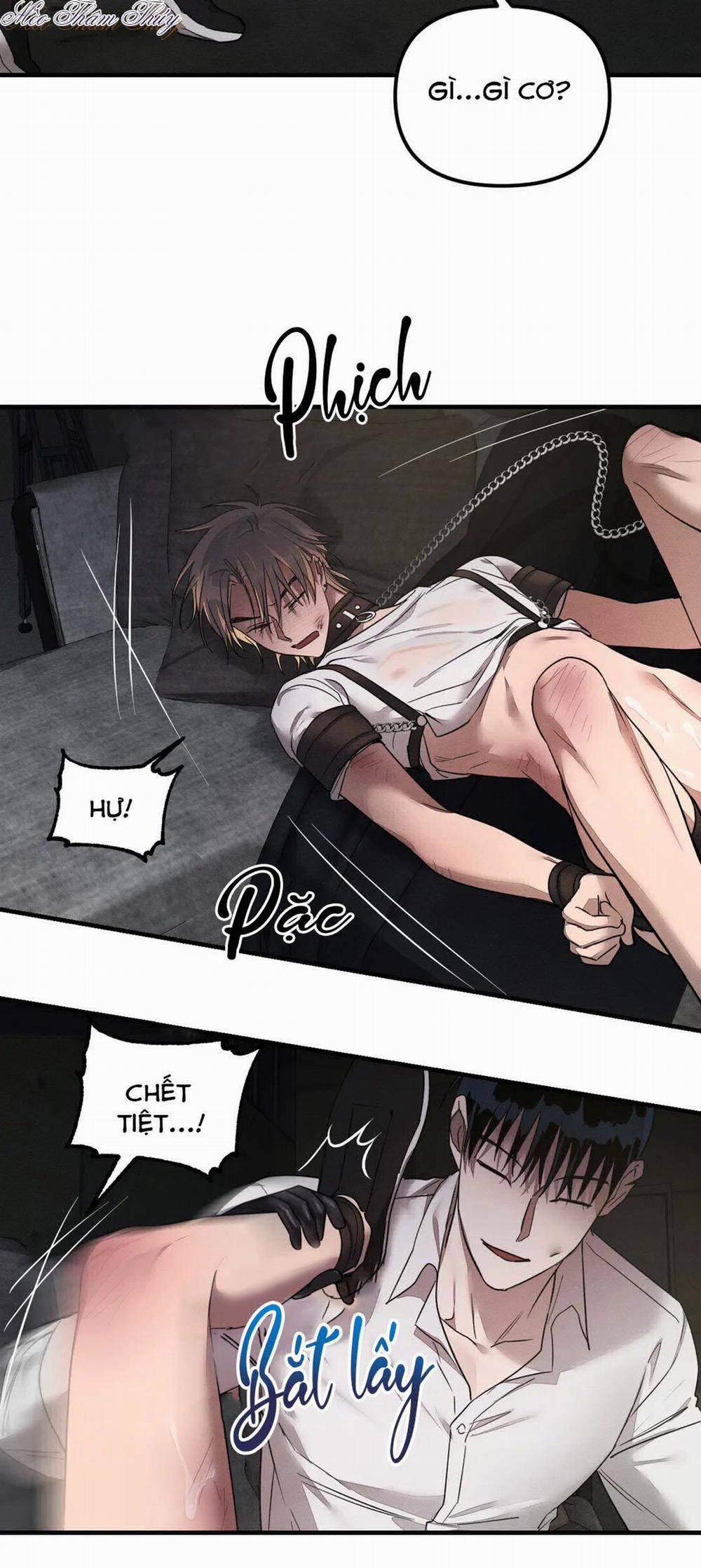 Huấn Luyện Thú Cưng 0 End trang 15