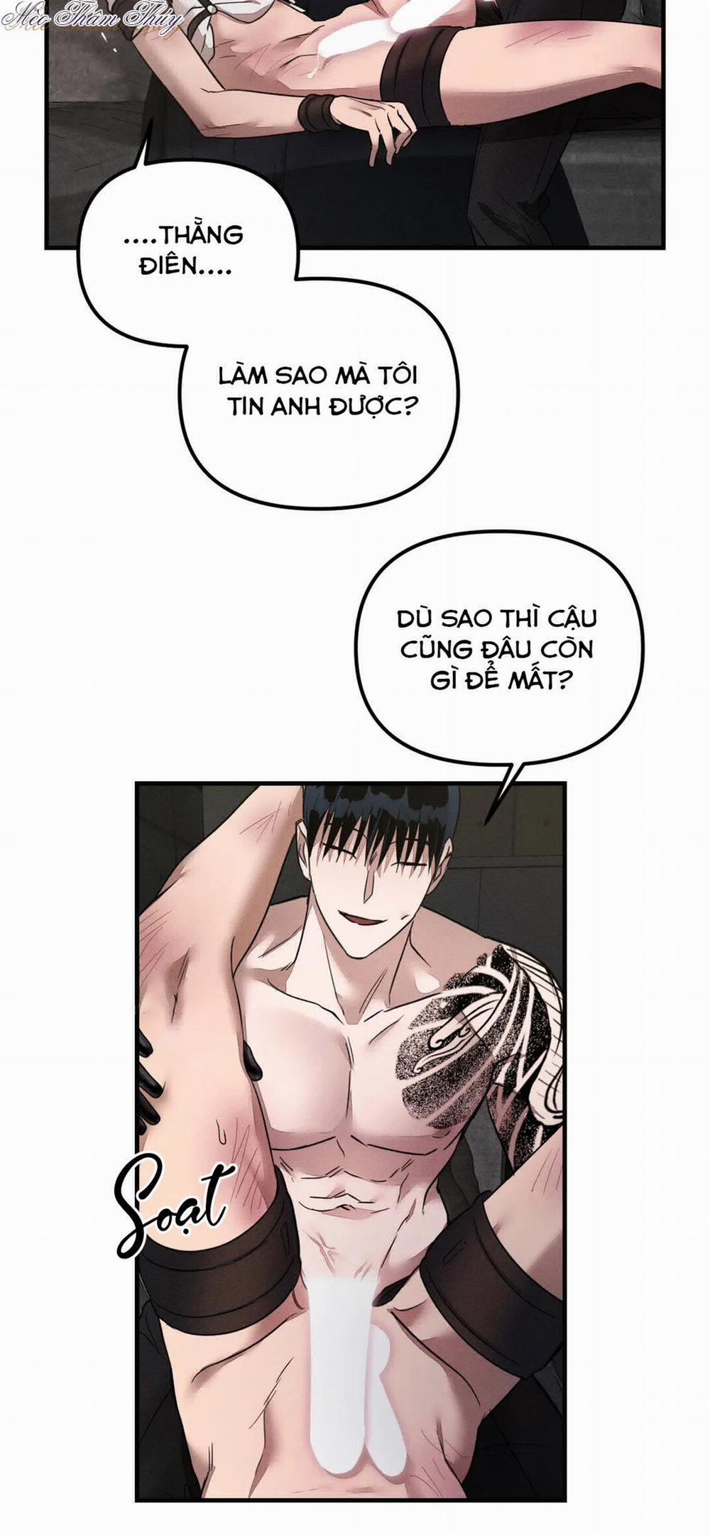 Huấn Luyện Thú Cưng 0 End trang 17