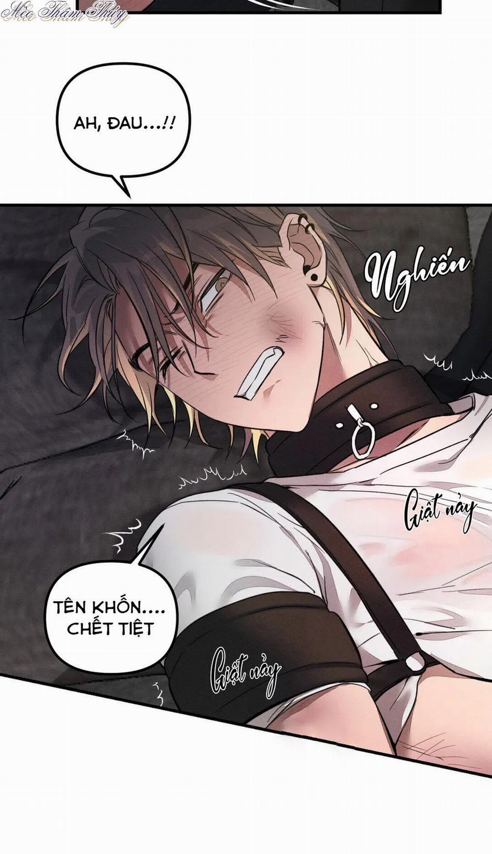 Huấn Luyện Thú Cưng 0 End trang 19