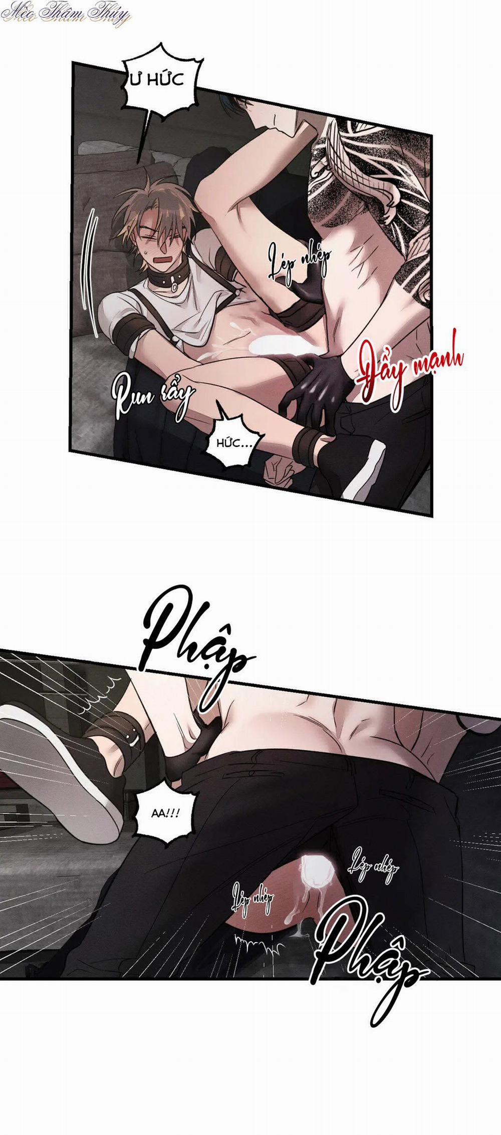 Huấn Luyện Thú Cưng 0 End trang 20