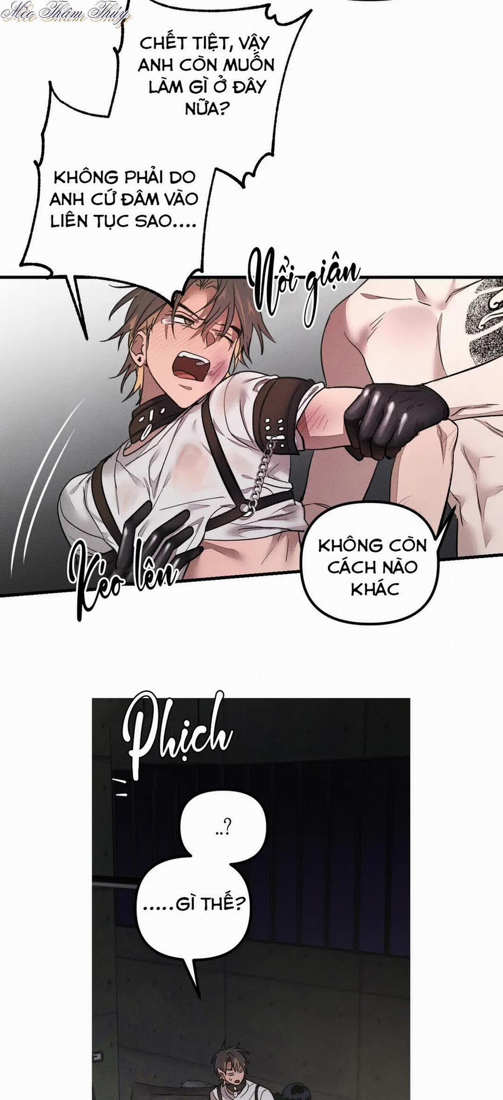 Huấn Luyện Thú Cưng 0 End trang 28