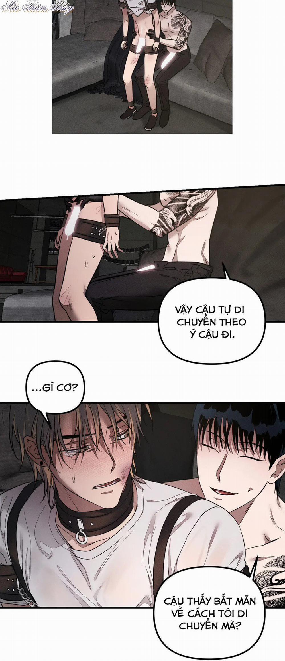 Huấn Luyện Thú Cưng 0 End trang 29