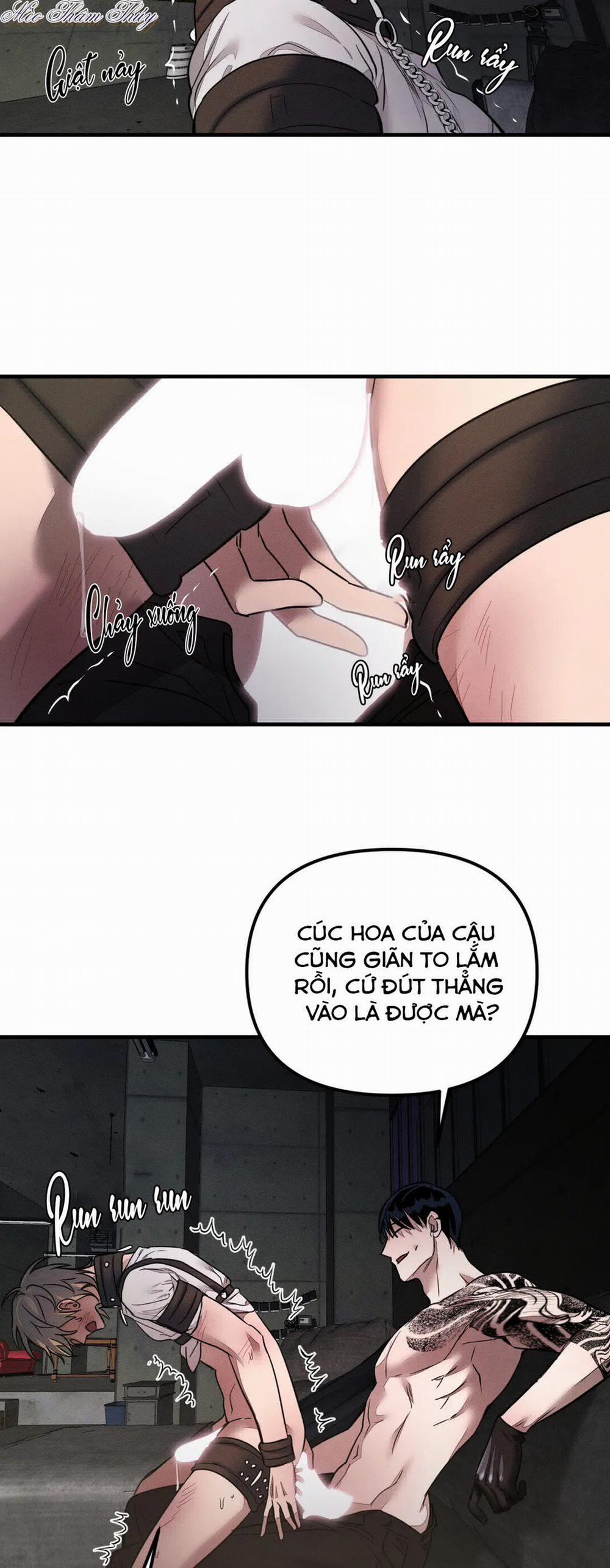 Huấn Luyện Thú Cưng 0 End trang 31