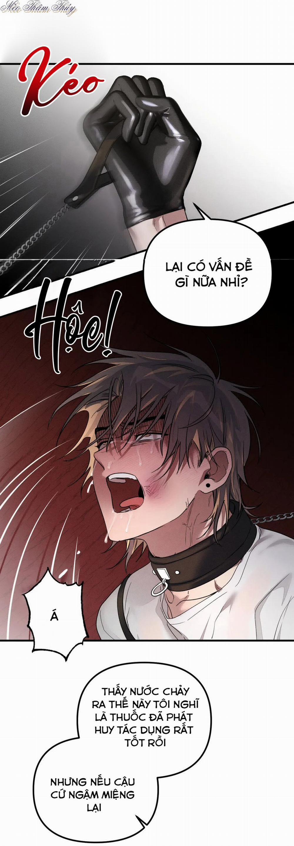 Huấn Luyện Thú Cưng 0 End trang 4