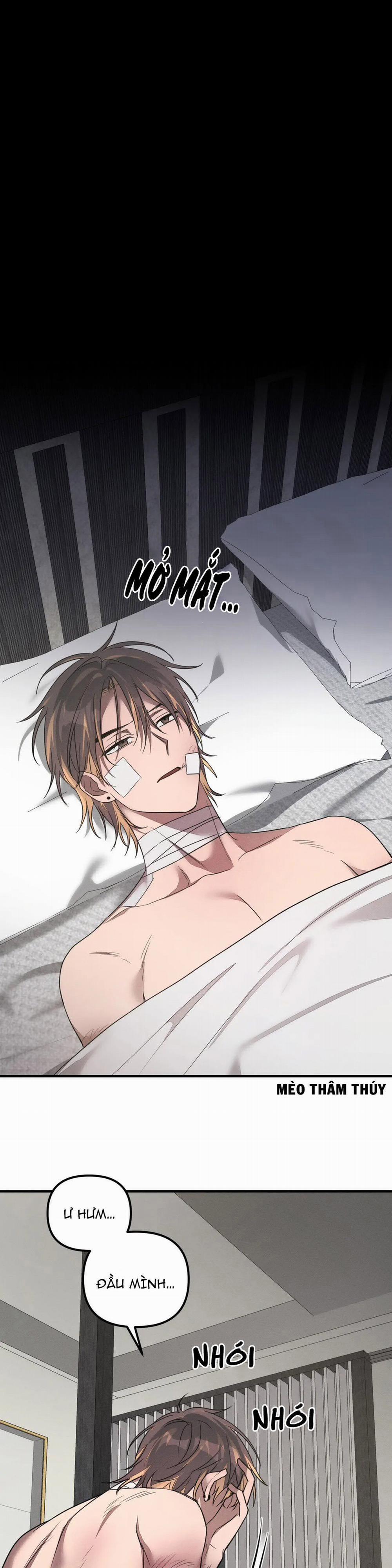 Huấn Luyện Thú Cưng 0 End trang 41