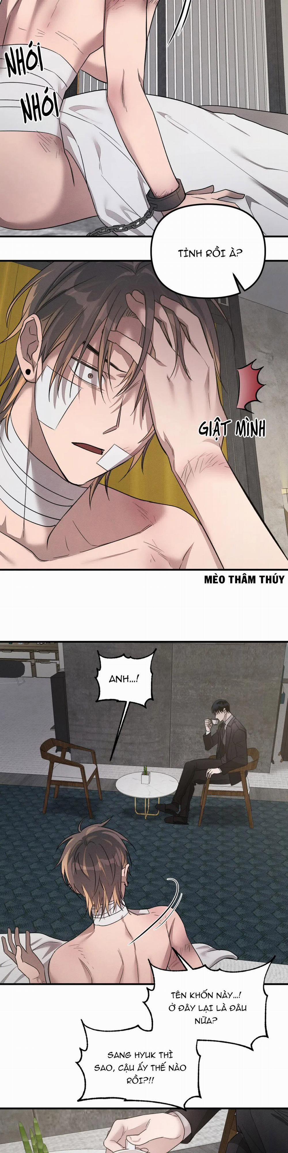 Huấn Luyện Thú Cưng 0 End trang 42