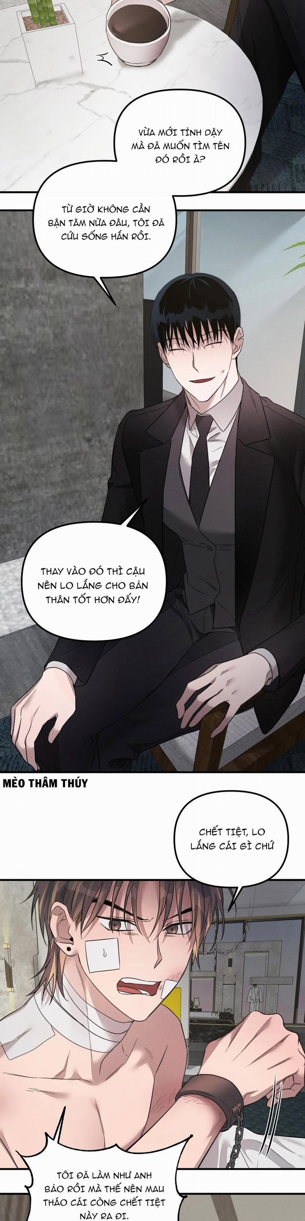 Huấn Luyện Thú Cưng 0 End trang 43