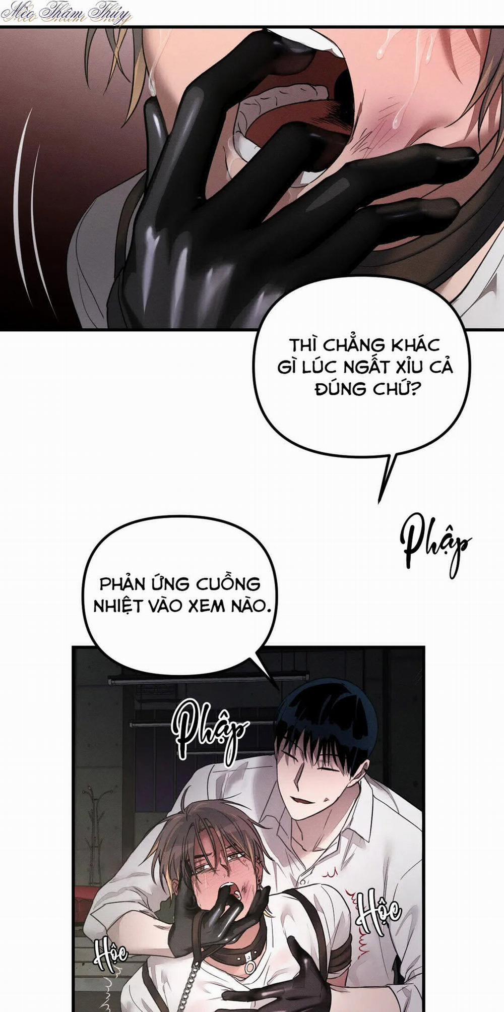 Huấn Luyện Thú Cưng 0 End trang 5