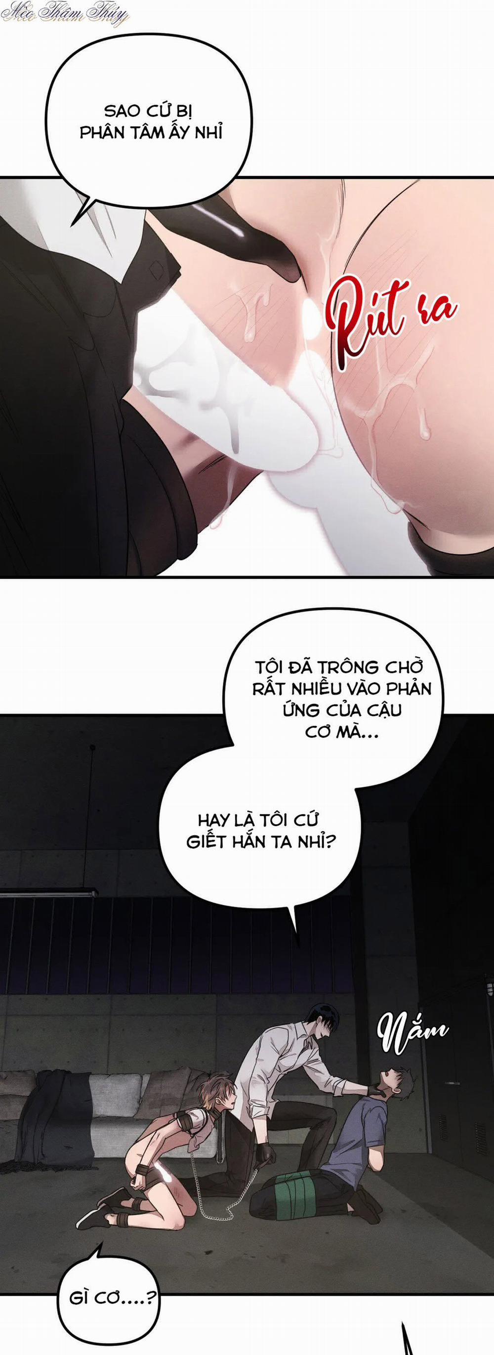 Huấn Luyện Thú Cưng 0 End trang 9