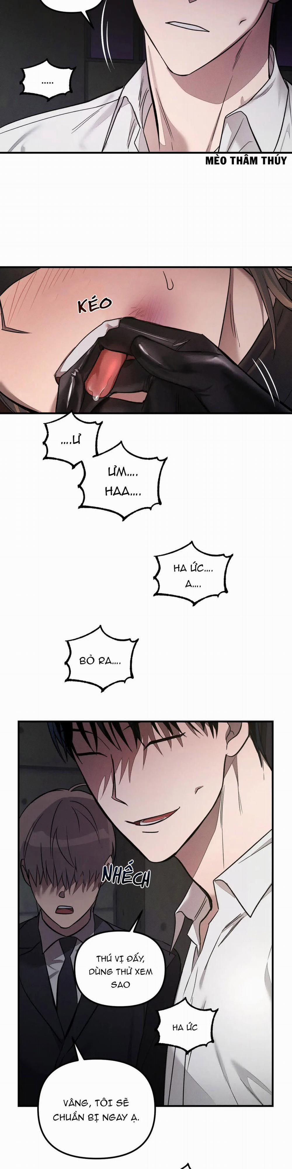 Huấn Luyện Thú Cưng 2 trang 11