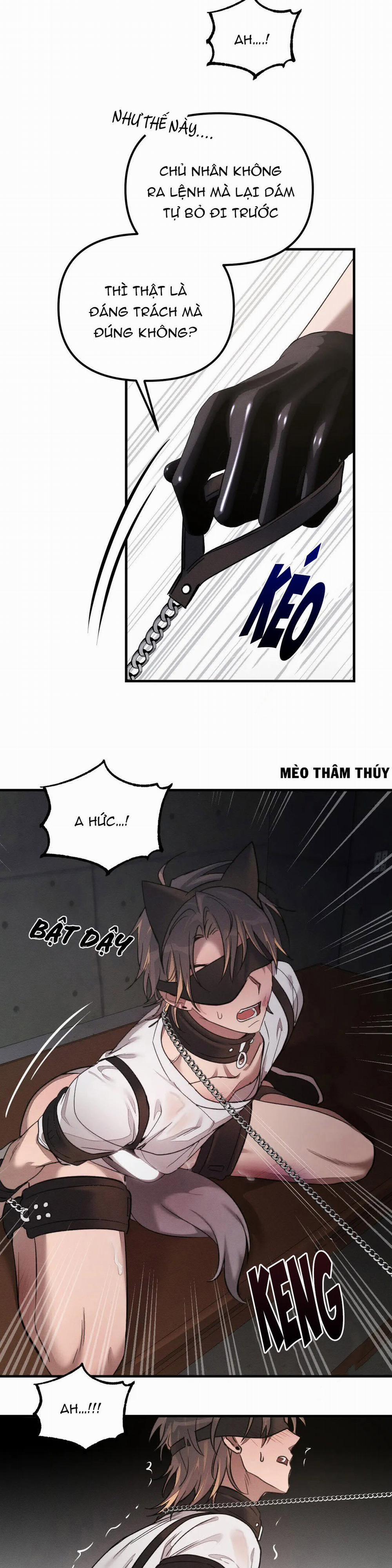 Huấn Luyện Thú Cưng 2 trang 12