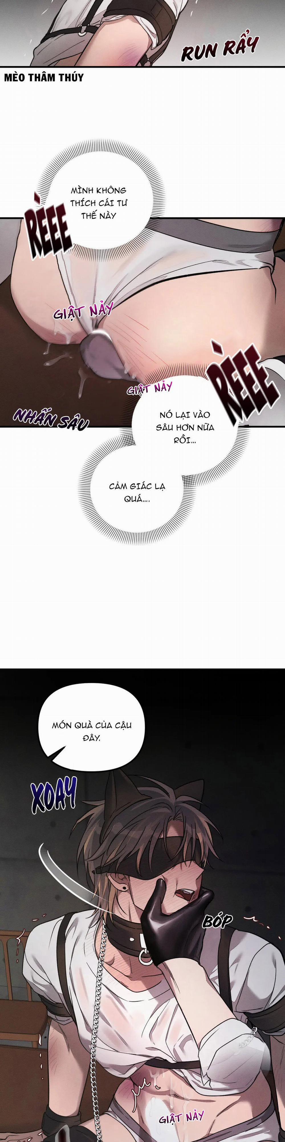 Huấn Luyện Thú Cưng 2 trang 13