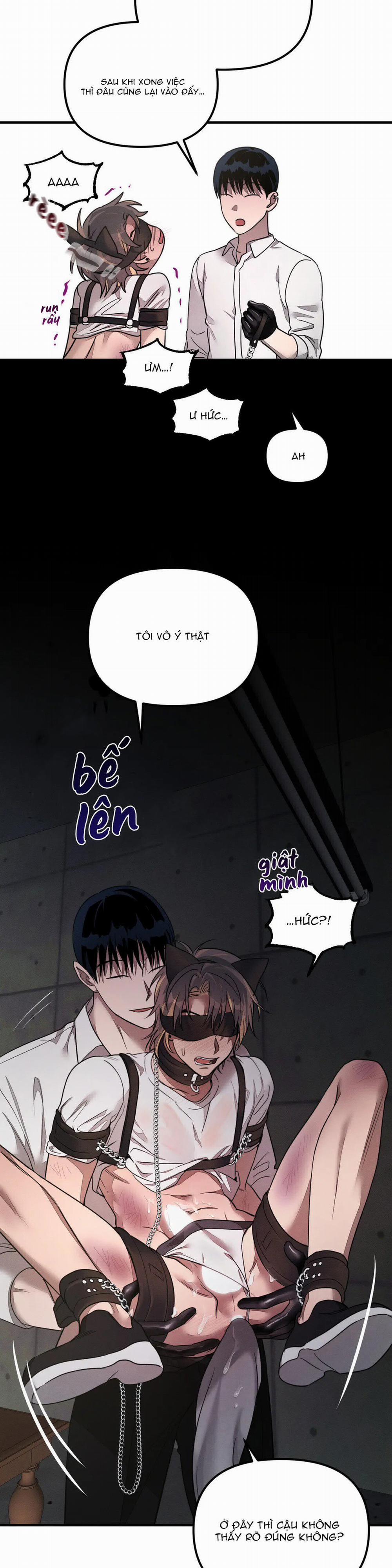 Huấn Luyện Thú Cưng 2 trang 14