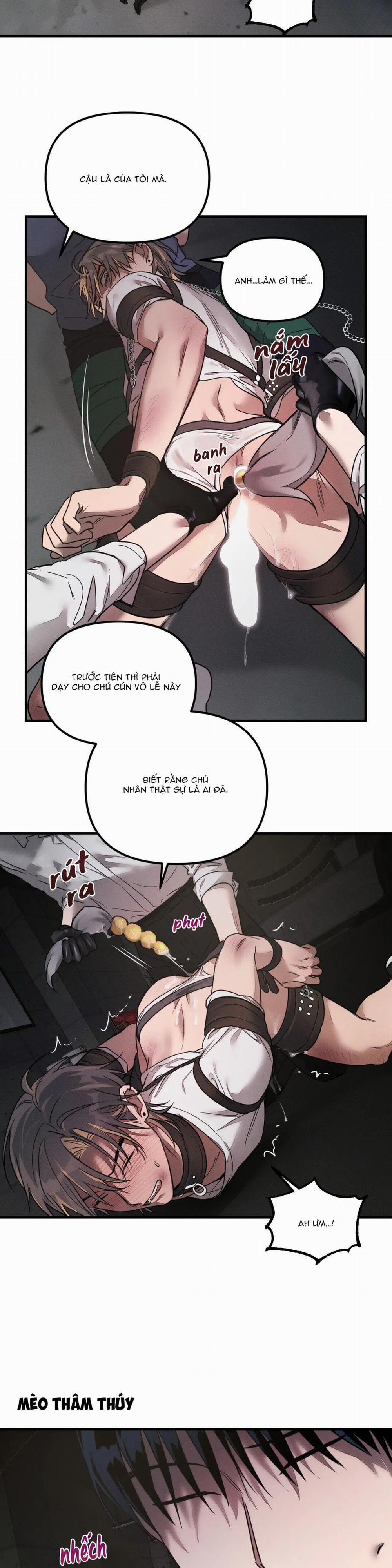 Huấn Luyện Thú Cưng 2 trang 19