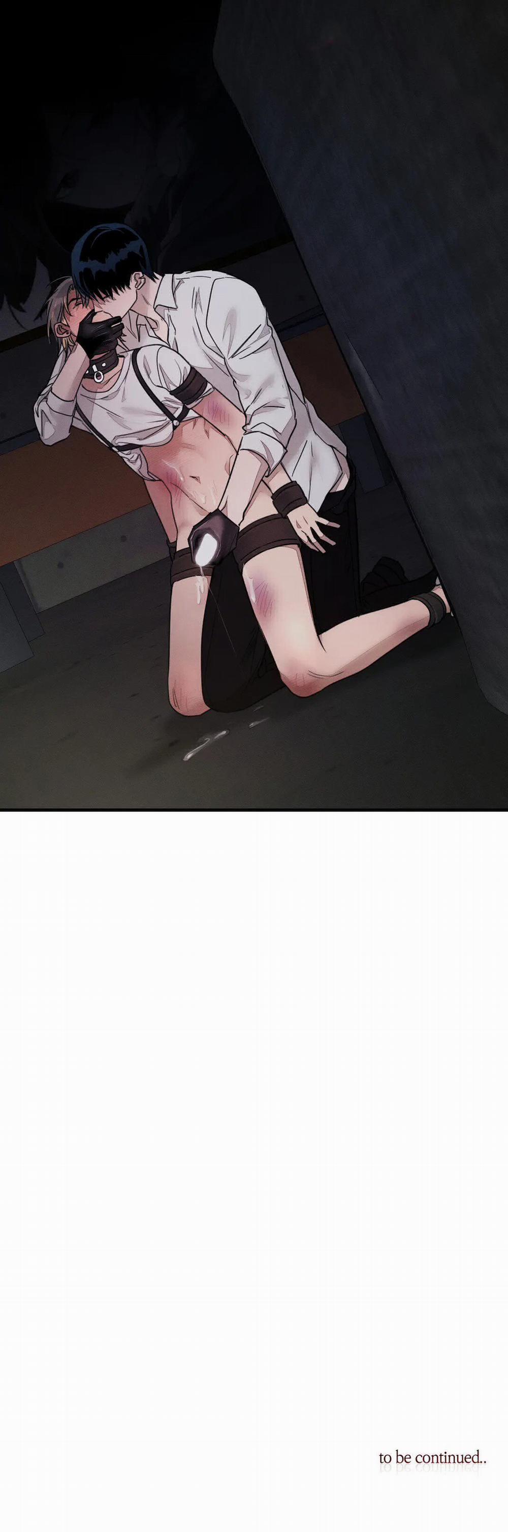 Huấn Luyện Thú Cưng 2 trang 26