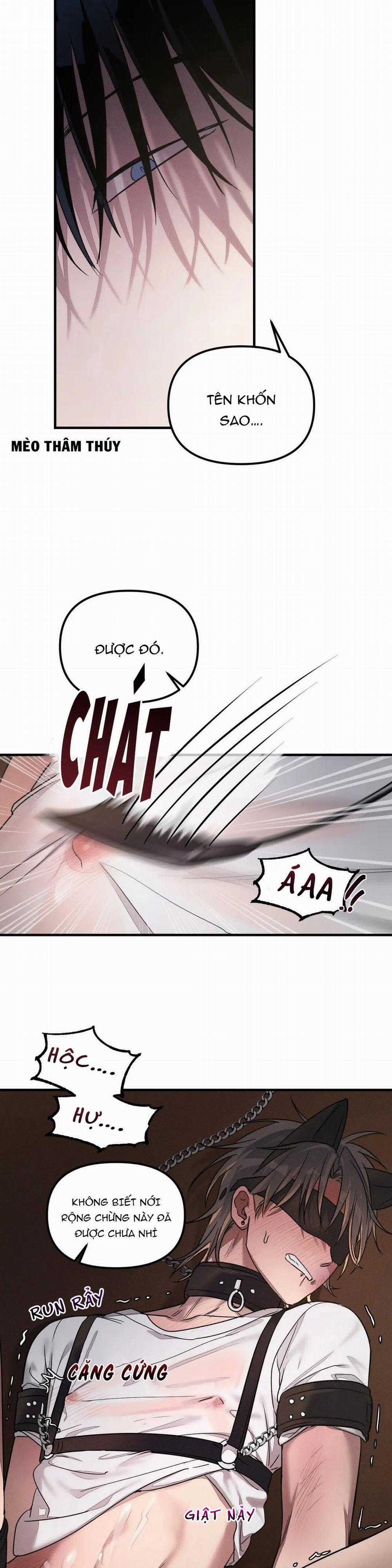 Huấn Luyện Thú Cưng 2 trang 6