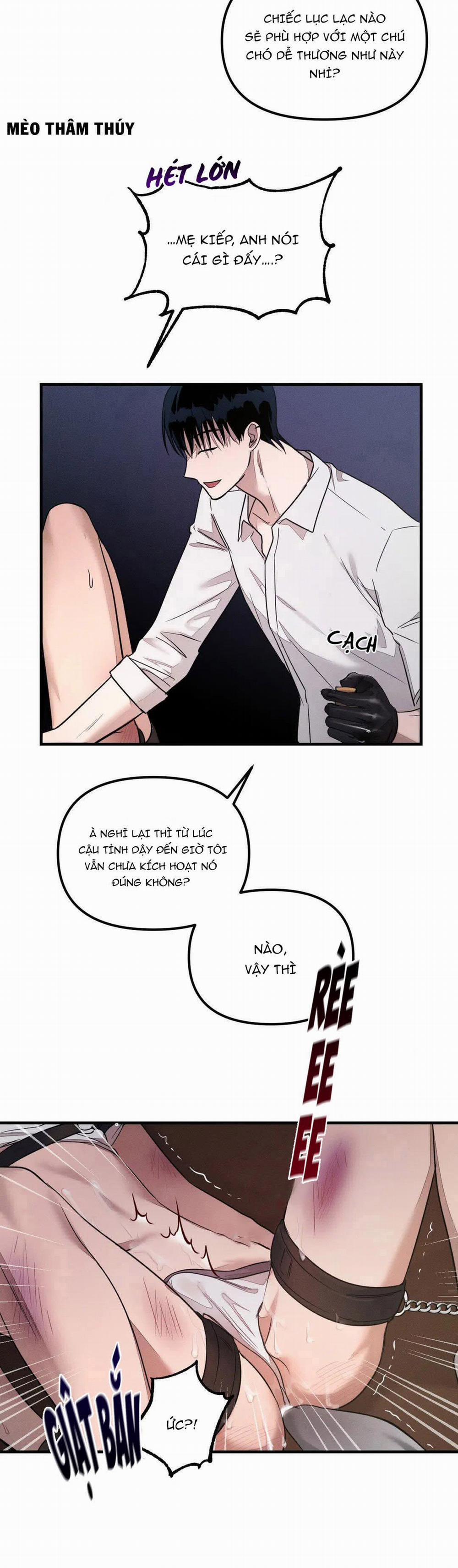 Huấn Luyện Thú Cưng 2 trang 8