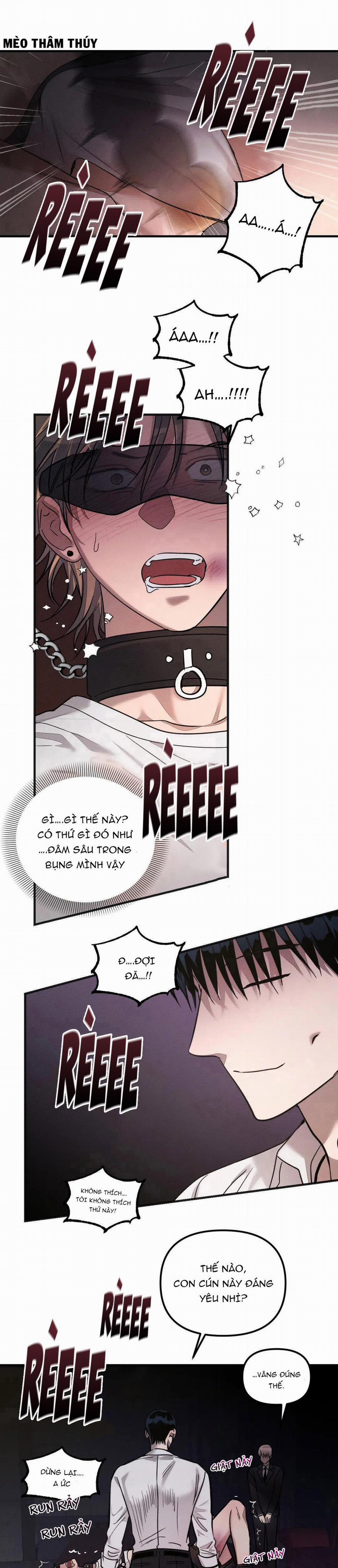 Huấn Luyện Thú Cưng 2 trang 9