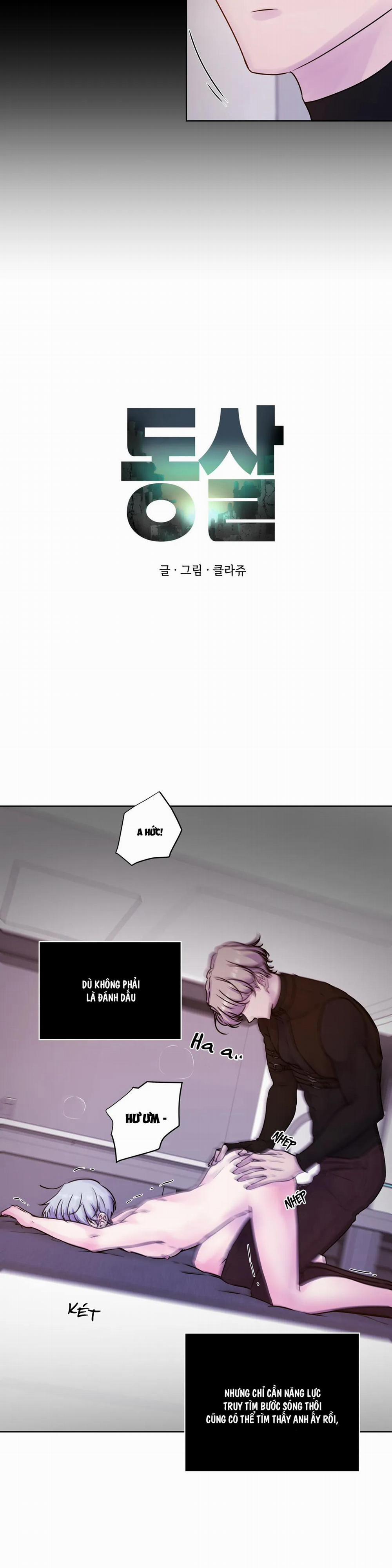 Hừng Đông 11 trang 7