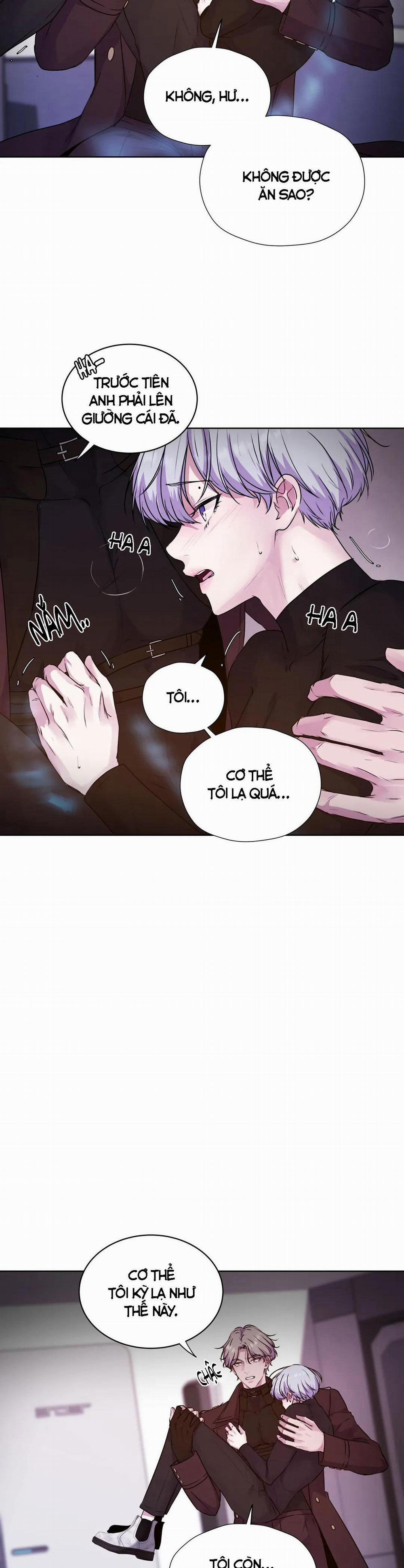 Hừng Đông 12 trang 15