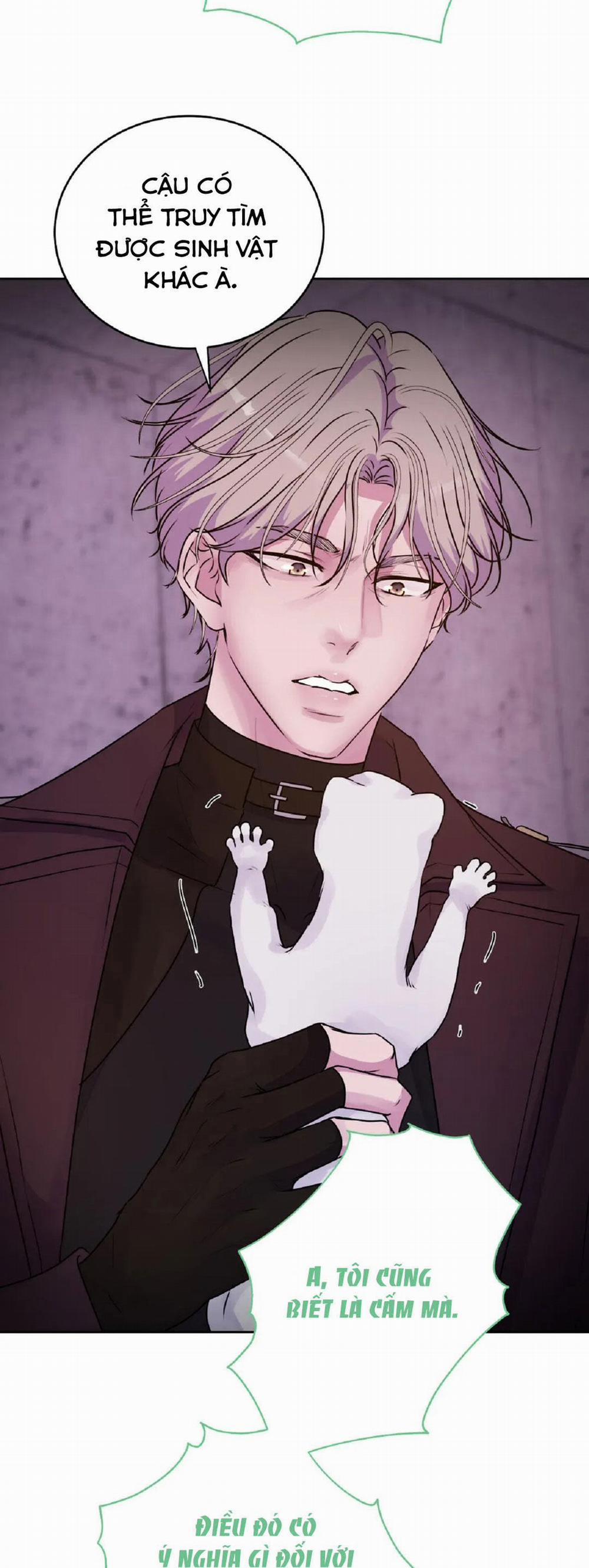 Hừng Đông 13 trang 33