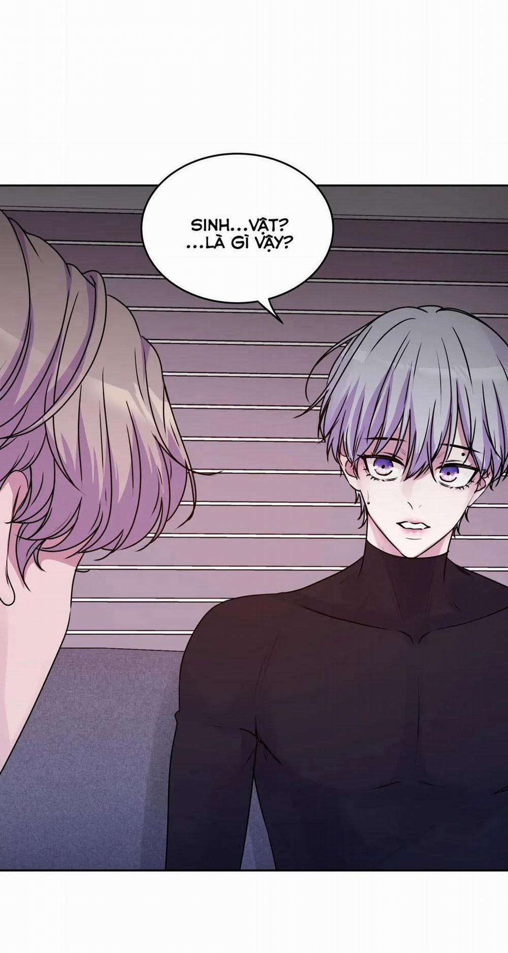 Hừng Đông 14 trang 43