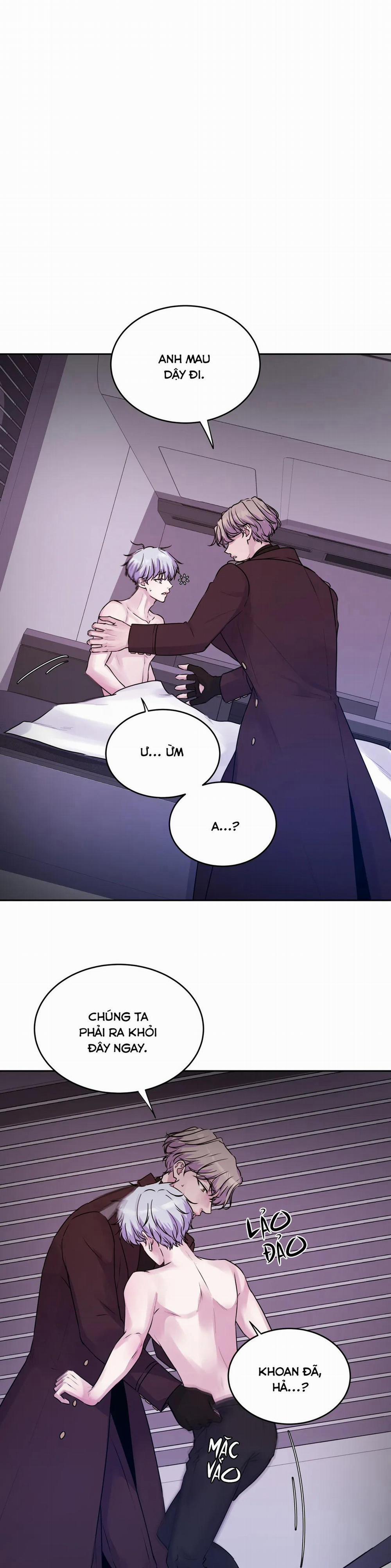 Hừng Đông 16 trang 1