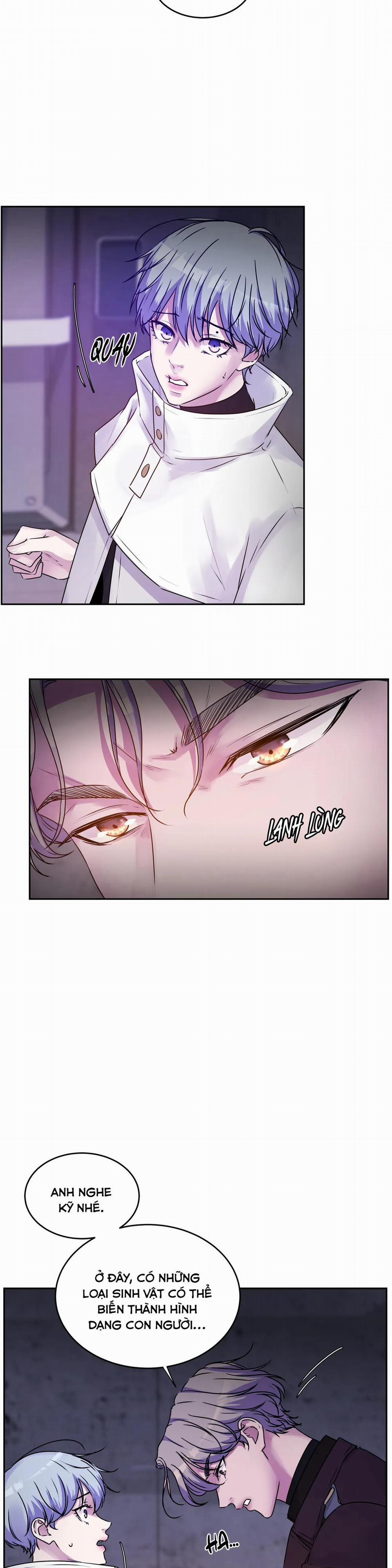 Hừng Đông 17 trang 11