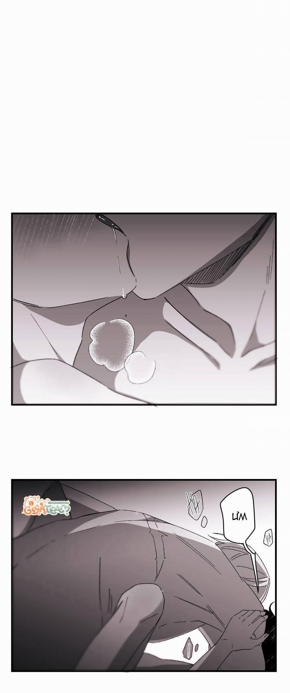 Hunting 16 X 647 10.5 trang 6