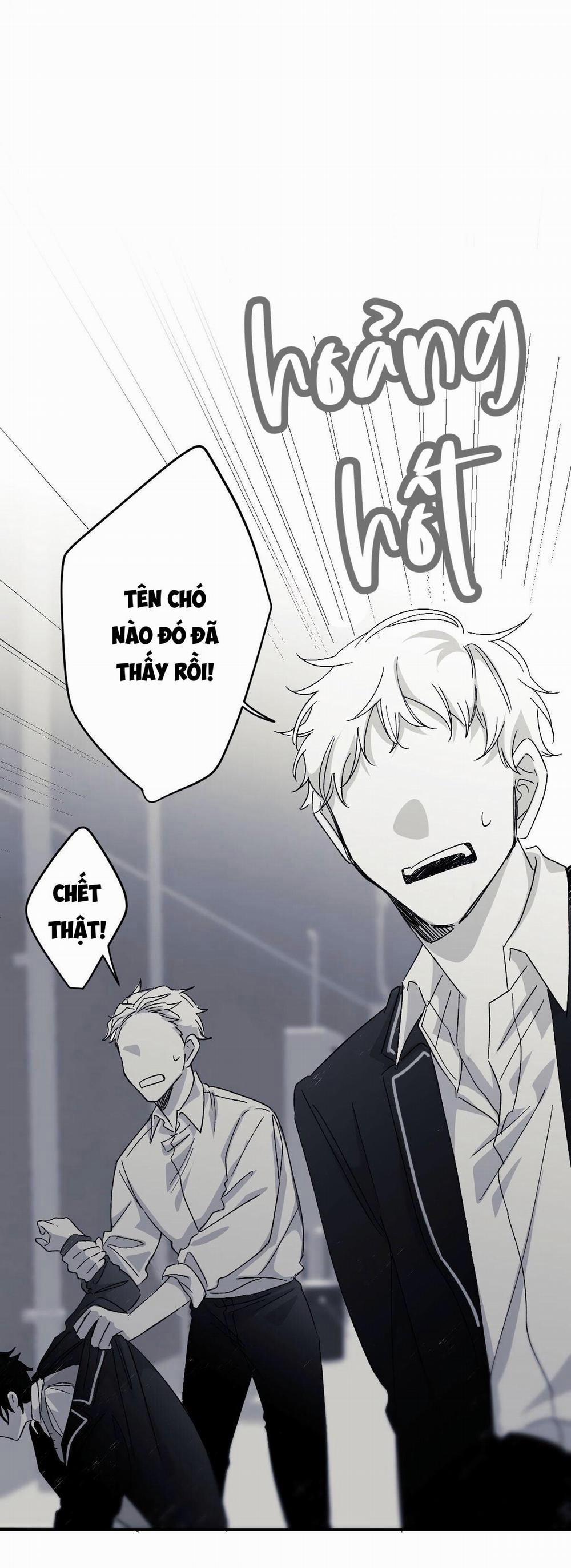 Hunting 16 X 647 8 trang 15