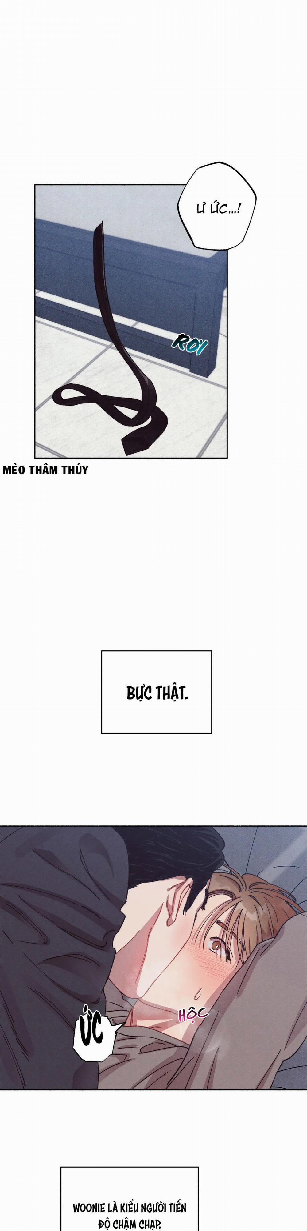 Hương Kẹo Vừa Ý 4 trang 0