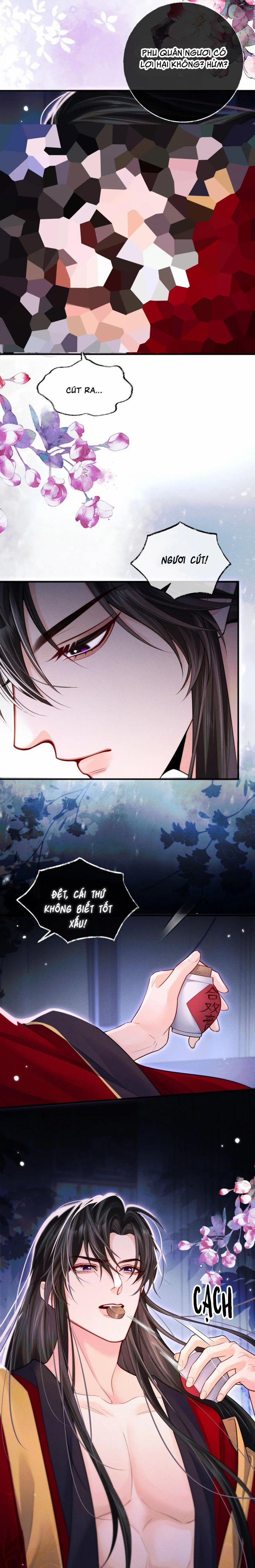 Husky Và Sư Tôn Mèo Trắng Của Hắn 74 trang 2