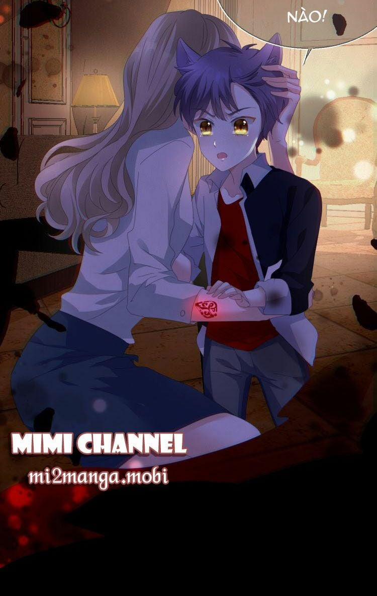 Hữu Thê Đồ Hình 2.2 trang 19