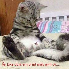 Ice Cream Cherry Blossom (Hyouka) Oneshot trang 27