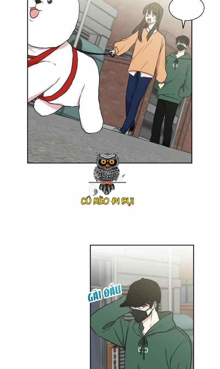 Idol Sống Trong Nhà Tôi! 3 trang 48