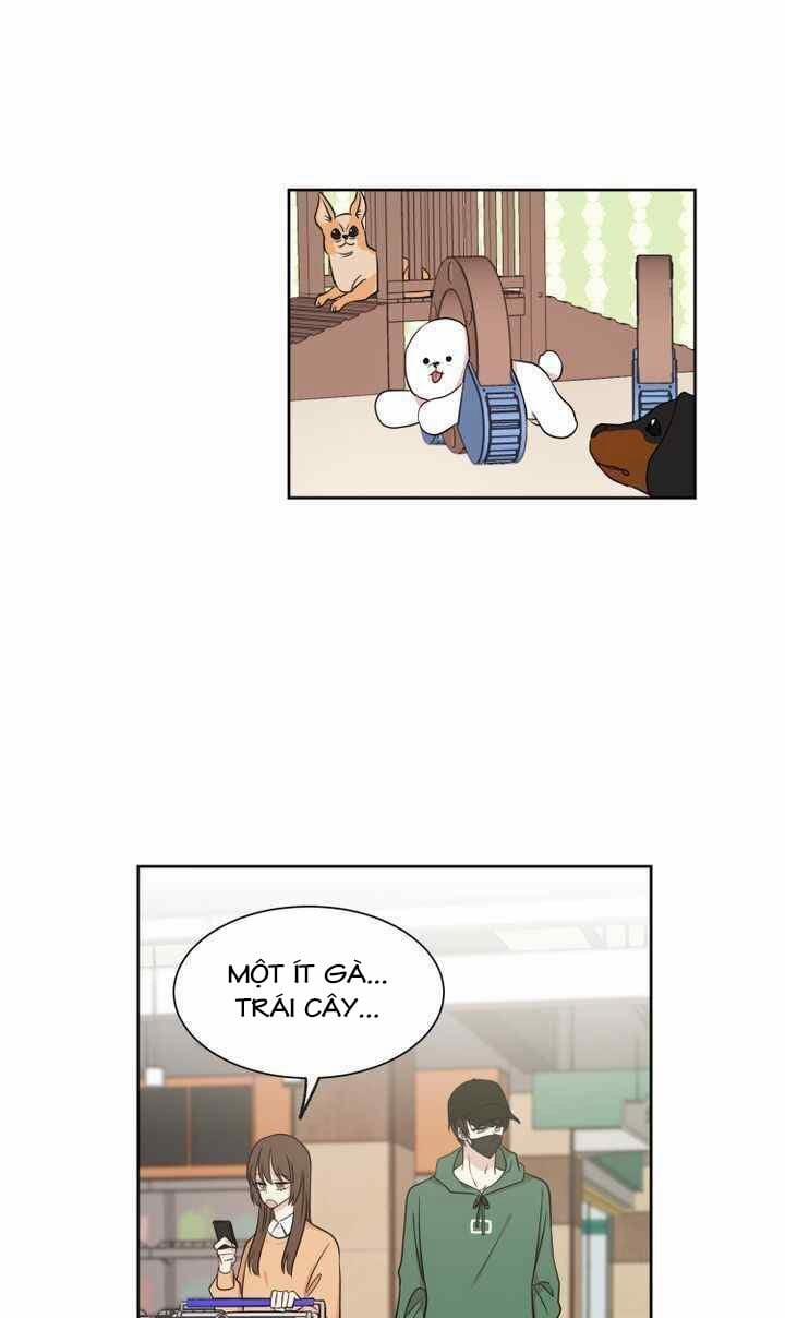 Idol Sống Trong Nhà Tôi! 3 trang 50
