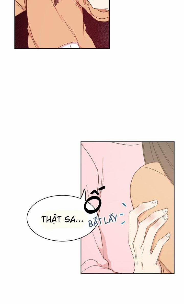 Idol Sống Trong Nhà Tôi! 5 trang 20