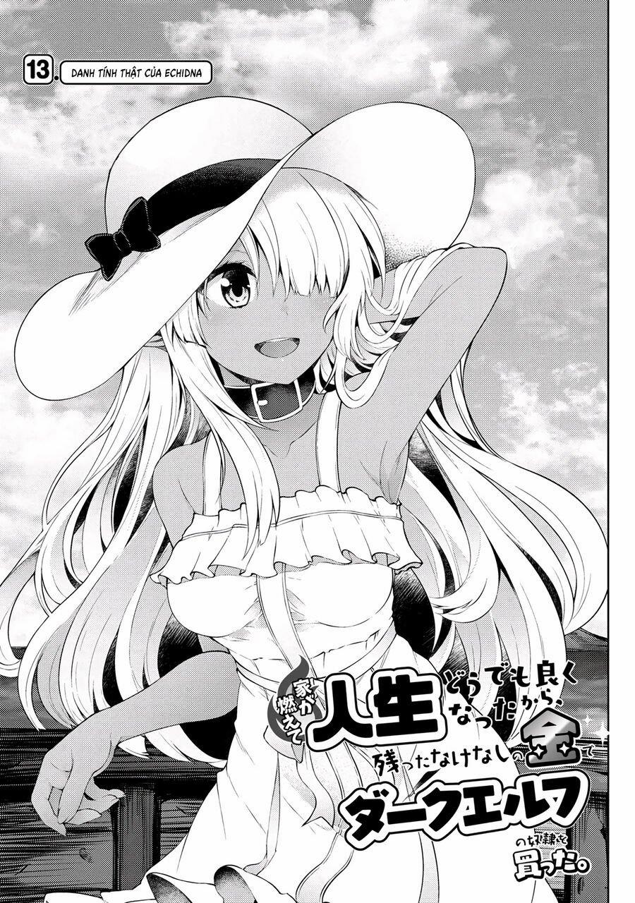 Ie Ga Moete Jinsei Dou Demo Yoku Natta Kara, Nokotta Nakenashi No Kin De Dark Elf No Dorei O Katta 13 trang 0