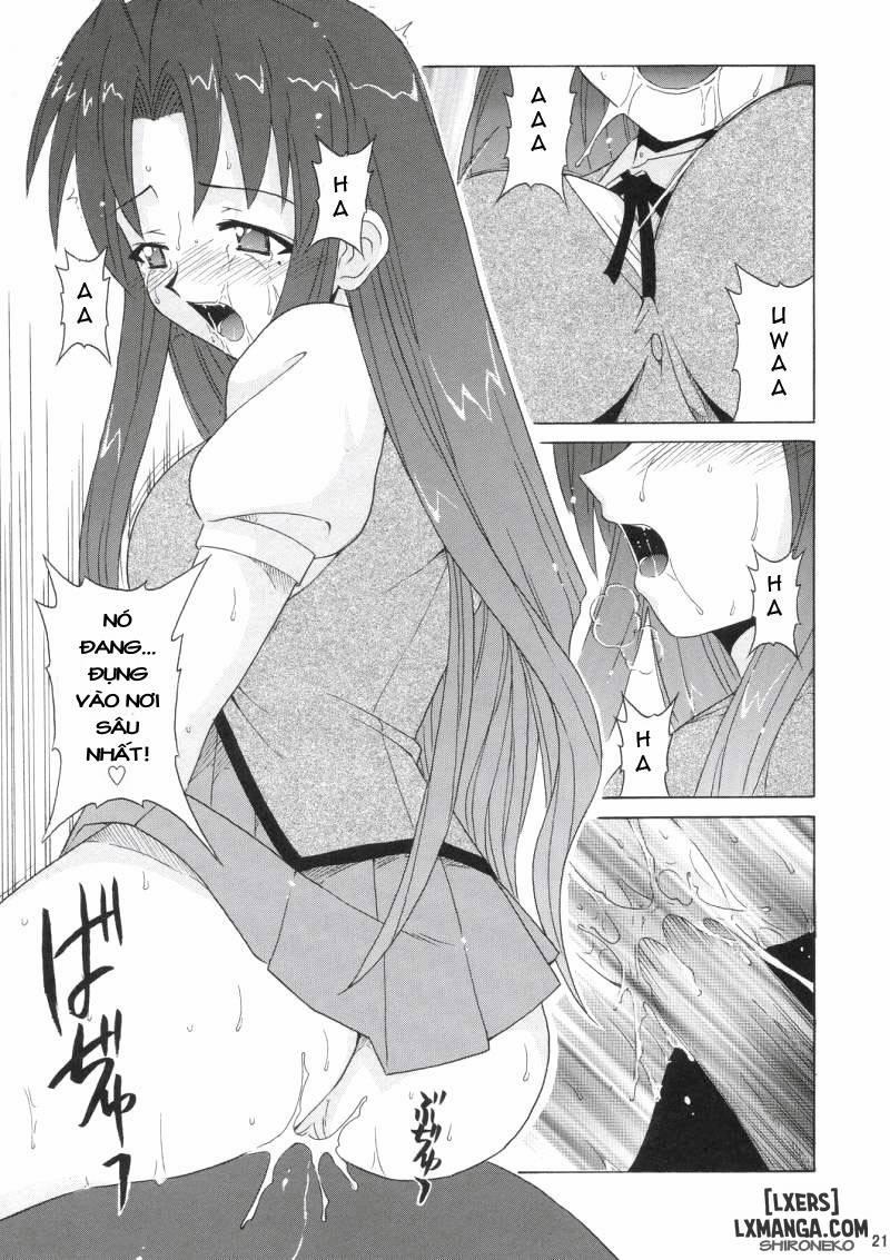 If CODE 05 1 trang 19