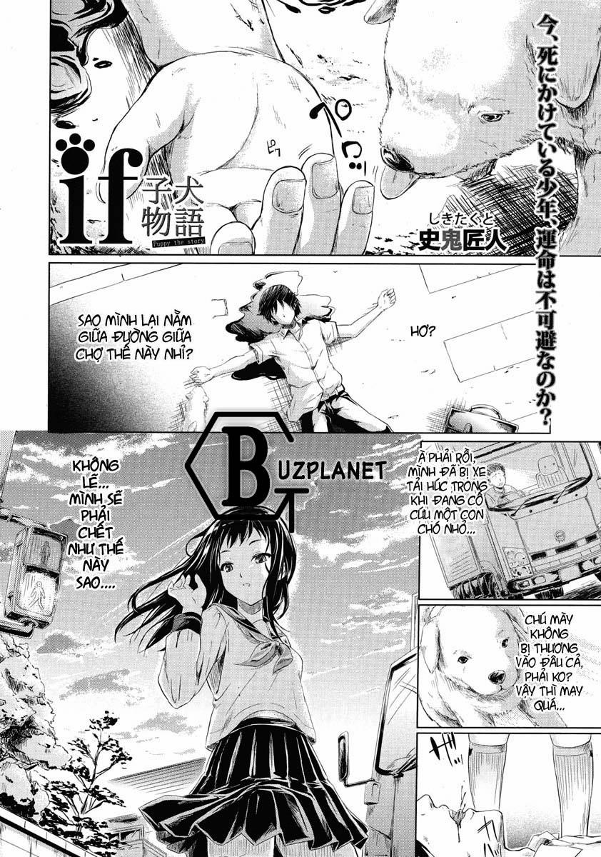 If (The Puppy Story) Oneshot trang 0