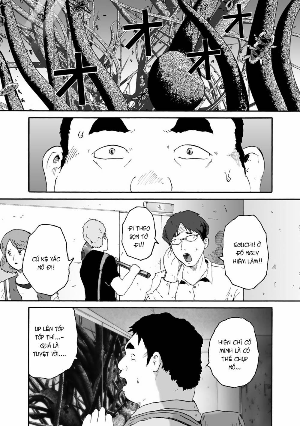 Insects R 4 trang 12