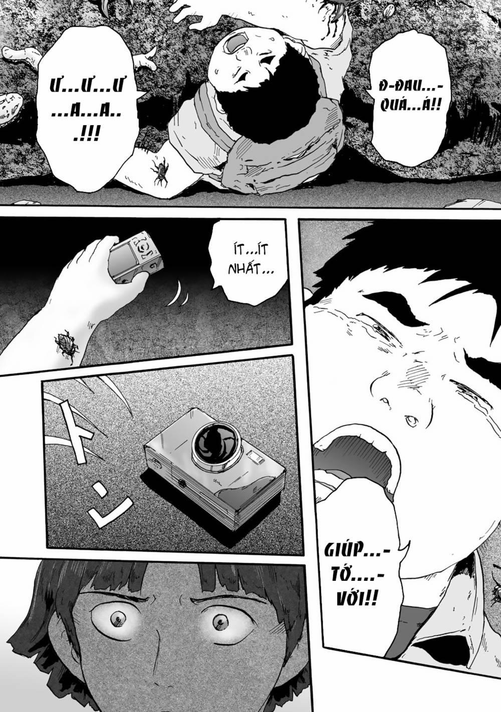 Insects R 4 trang 24