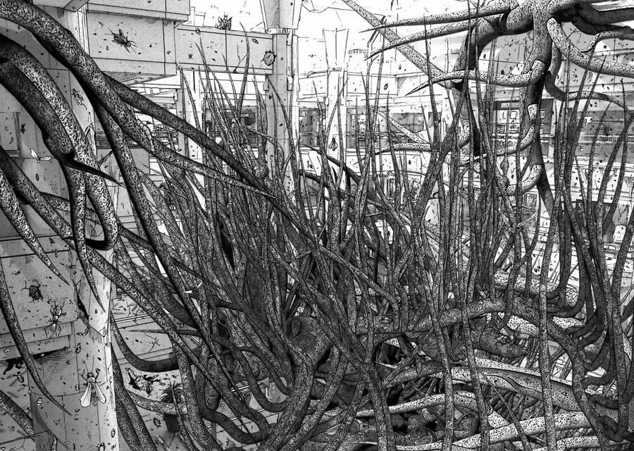 Insects R 5 trang 25